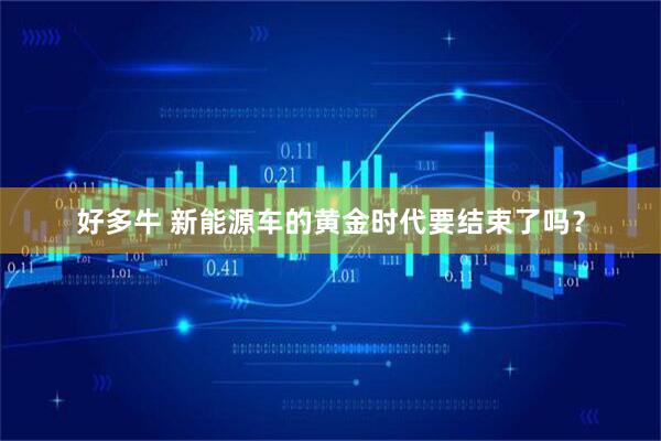 好多牛 新能源车的黄金时代要结束了吗？