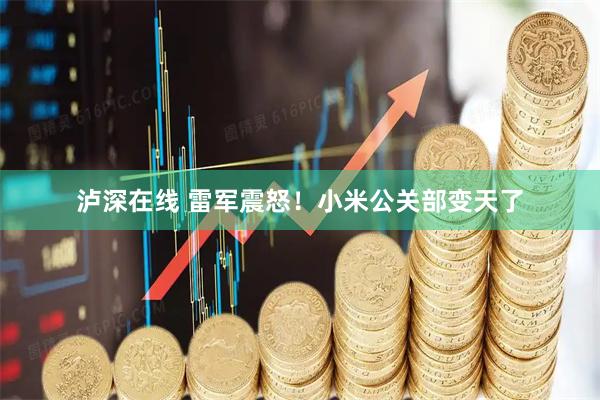 泸深在线 雷军震怒！小米公关部变天了