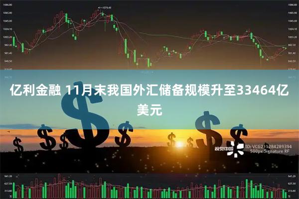 亿利金融 11月末我国外汇储备规模升至33464亿美元